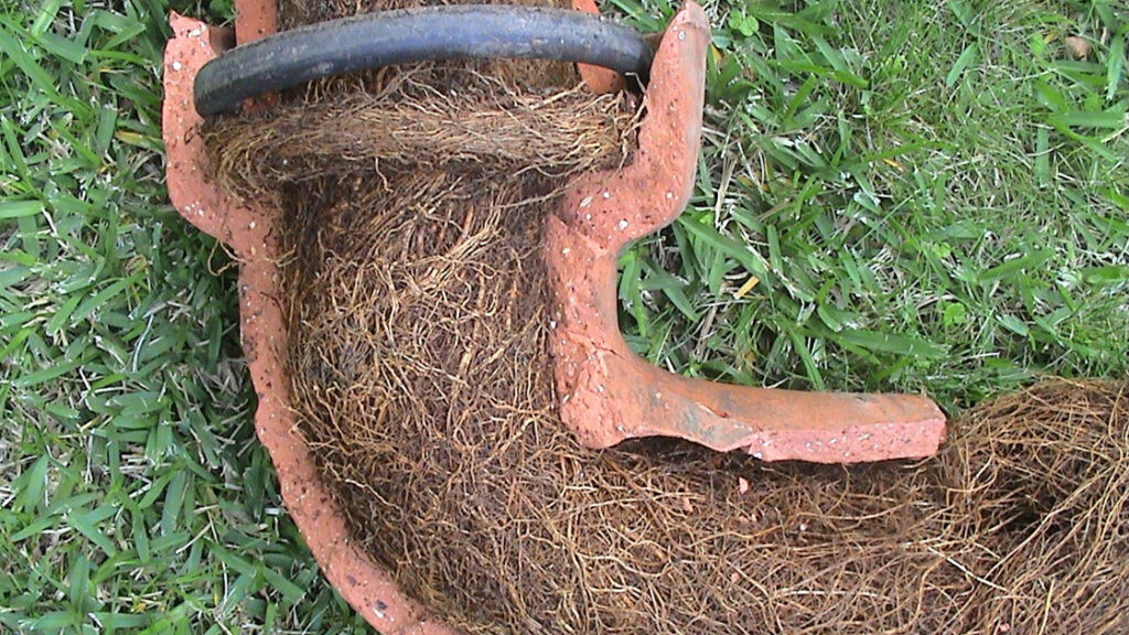 main-line-clog-in-connecticut-ct